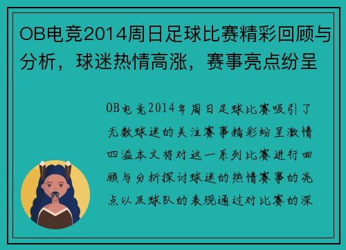 OB电竞2014周日足球比赛精彩回顾与分析，球迷热情高涨，赛事亮点纷呈
